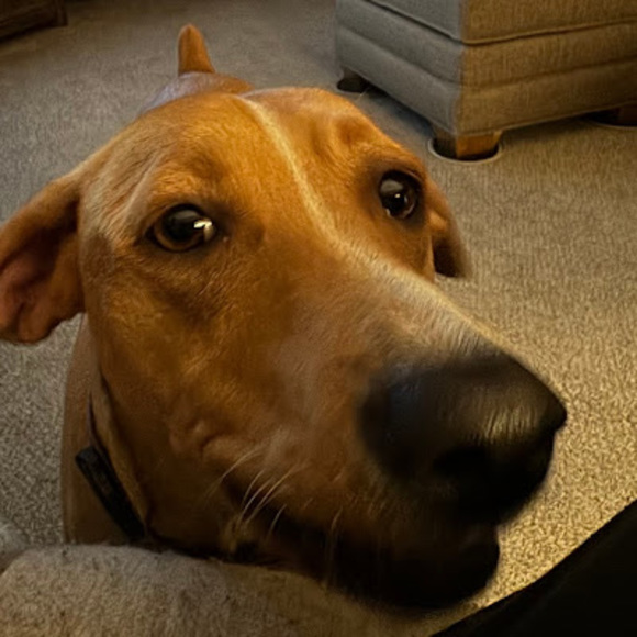 Meet the Posher Other - Meet your Posher, Adrienne